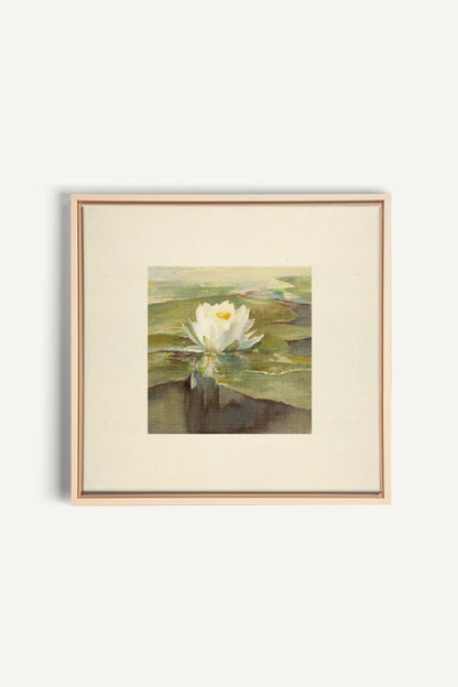 LOTUS DE LIN, Oeuvre sur toile étirée, encadré Naturel Clair