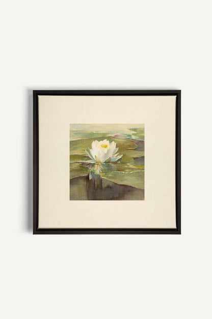 LOTUS DE LIN, Oeuvre sur toile étirée, encadré Noir