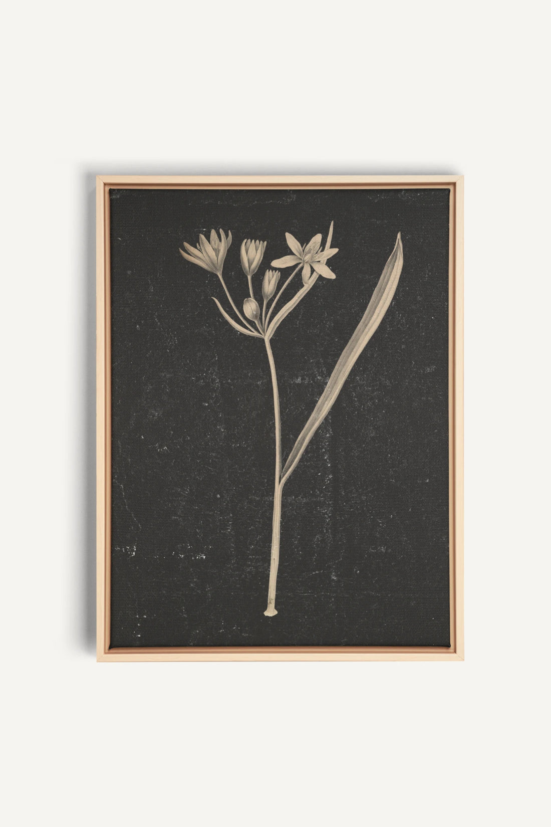 MINIMAL FLORA, Oeuvre sur toile étirée, encadré Naturel Clair