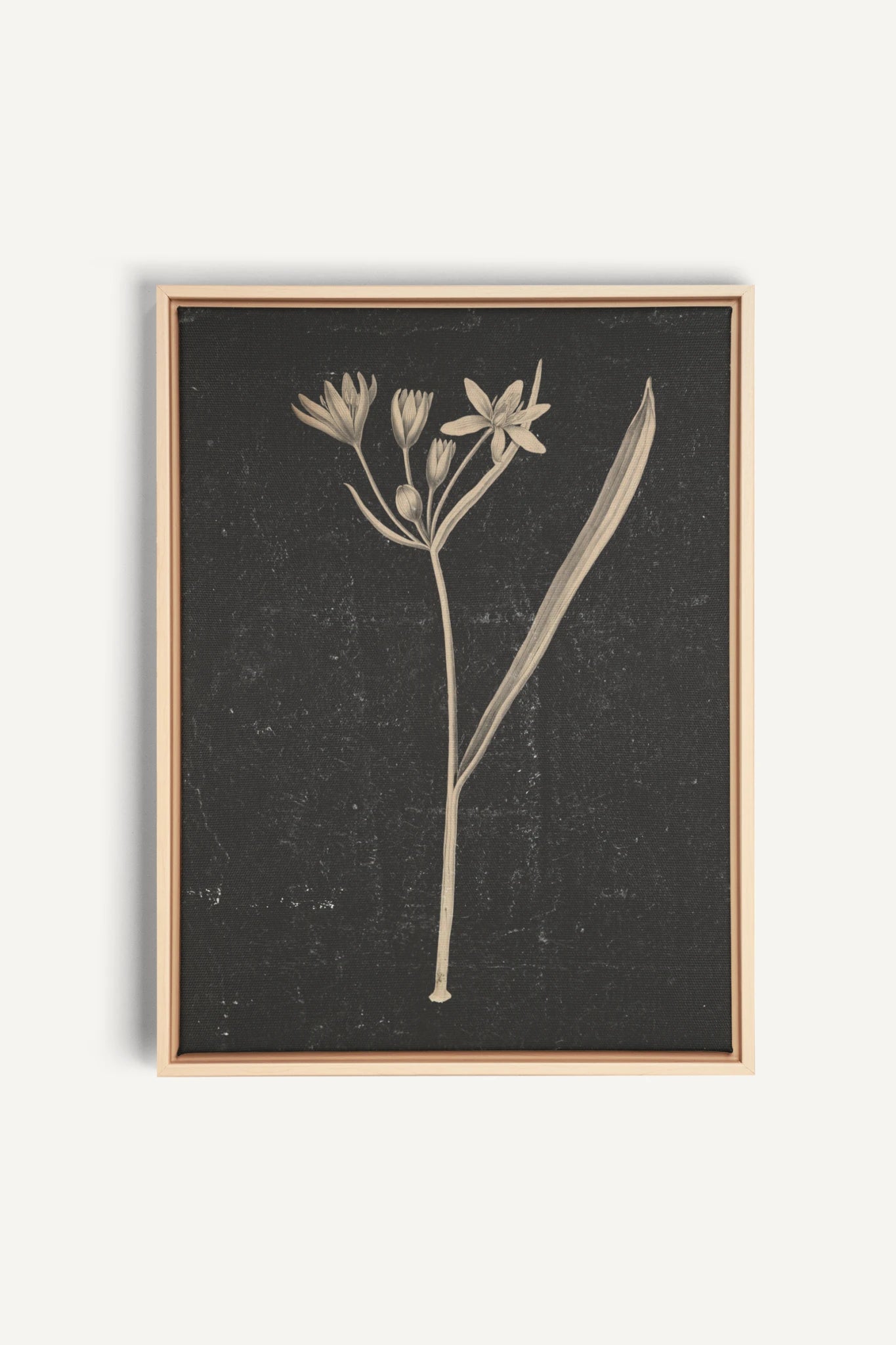 MINIMAL FLORA, Work on stretched canvas, framed Naturel Clair