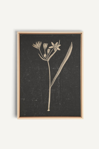 MINIMAL FLORA, Work on stretched canvas, framed Naturel Clair