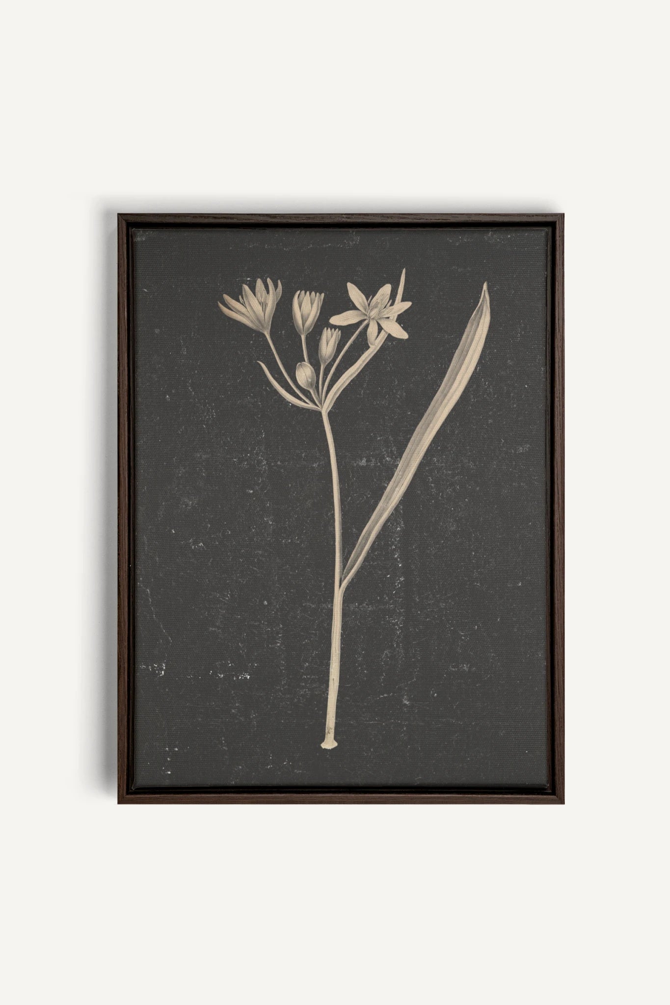 MINIMAL FLORA, Oeuvre sur toile étirée, encadré Brun Noyer