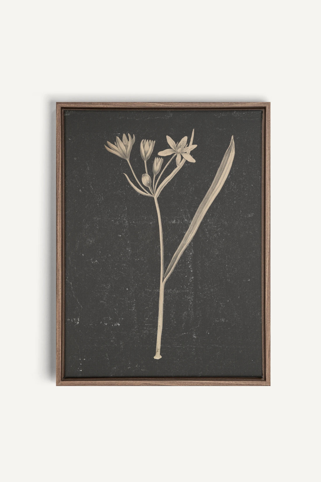 MINIMAL FLORA, Work on stretched canvas, framed Oak Brown