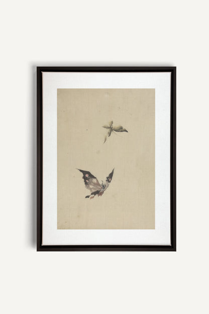 MISTY WINGS, Work on stretched canvas, framed Black