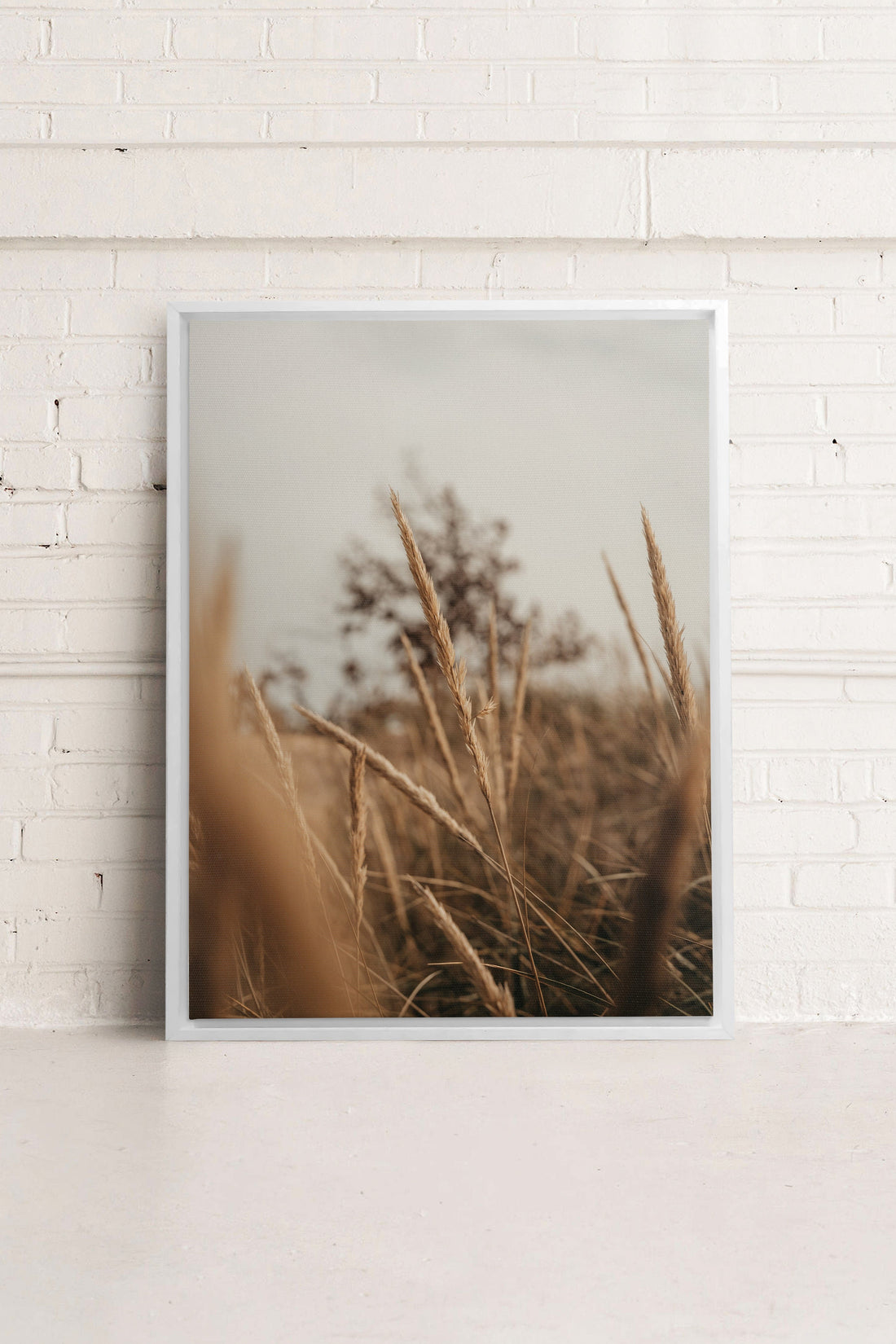 OLEKA CANVAS - WHEAT, Oeuvre sur toile étirée, encadré Blanc