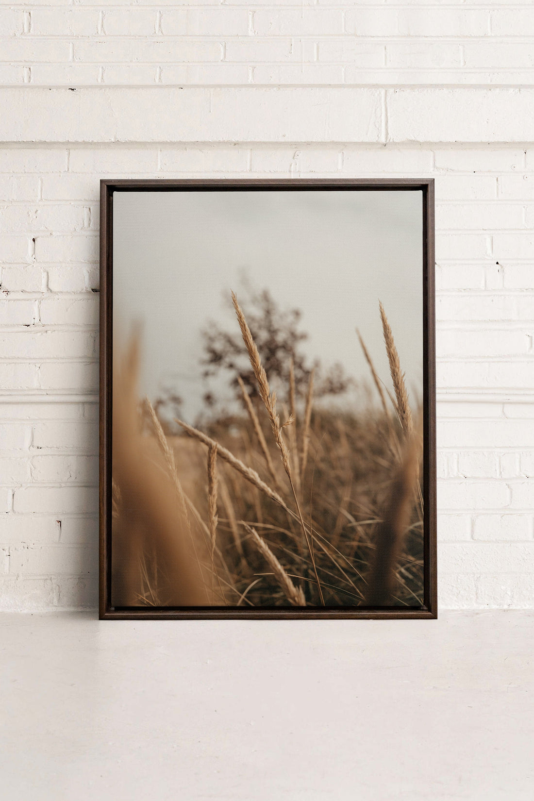 OLEKA CANVAS - WHEAT, Oeuvre sur toile étirée, encadré Brun Noyer