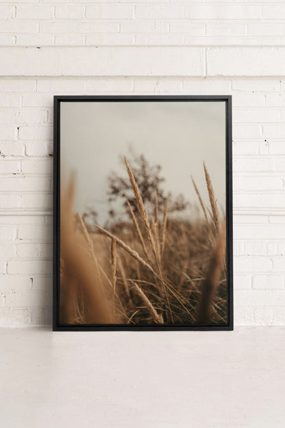 OLEKA CANVAS - WHEAT, Oeuvre sur toile étirée, encadré Noir
