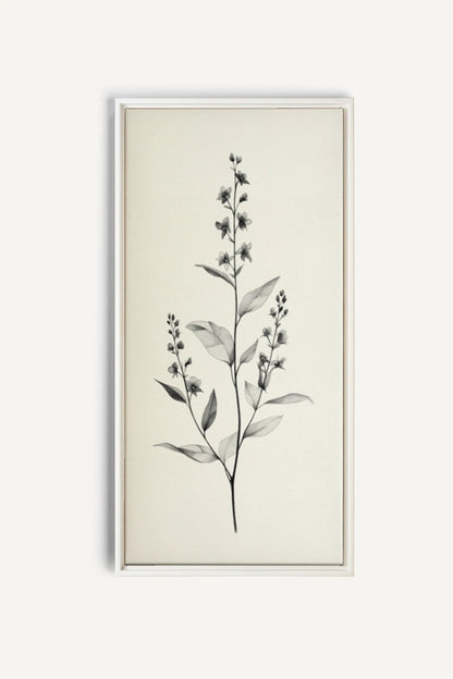 OLEKA CANVAS - NATURE&