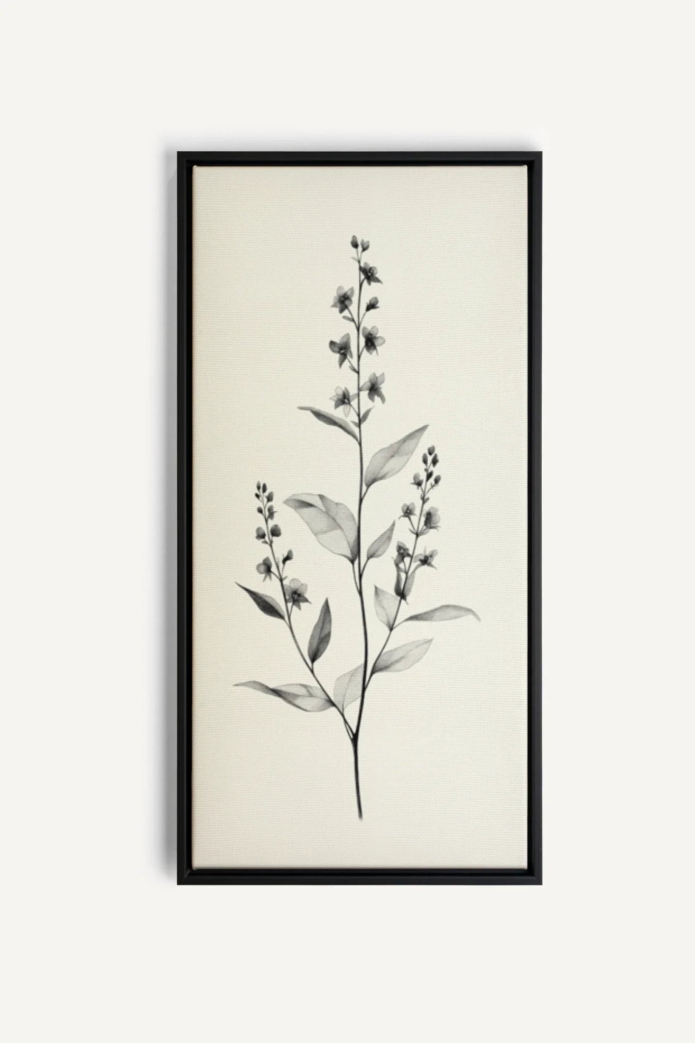 OLEKA CANVAS - NATURE&