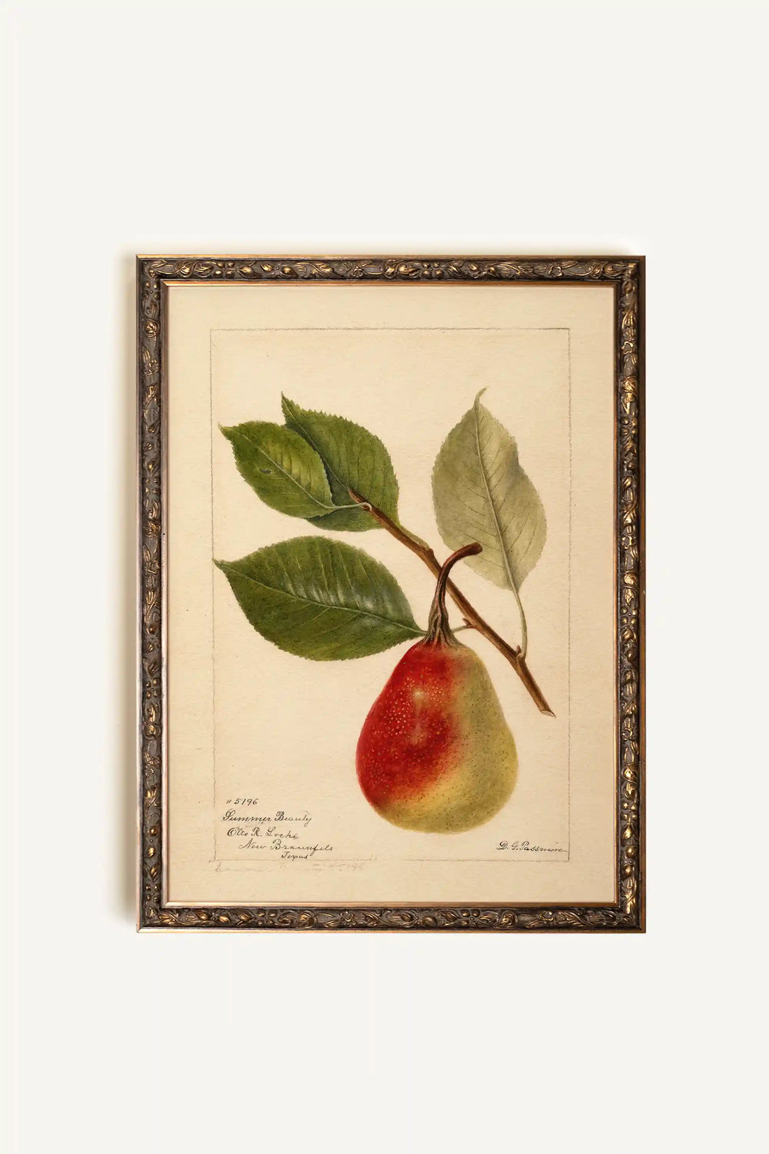 NECTAR DE LA SAISON, Artwork on rigid canvas, framed in Vintage Bronze