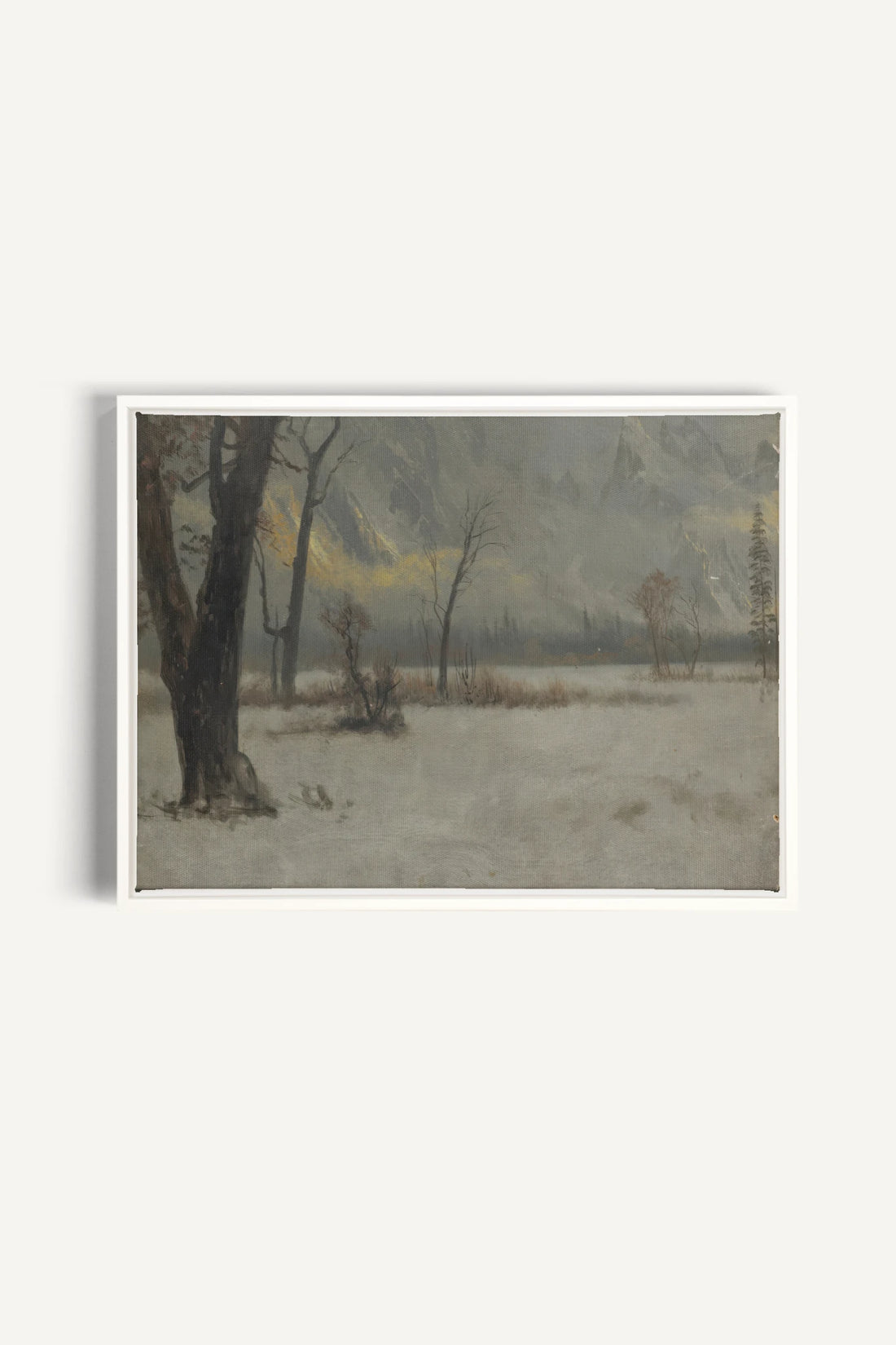 NORTHERN VEIL, Oeuvre sur toile étirée, encadré Blanc