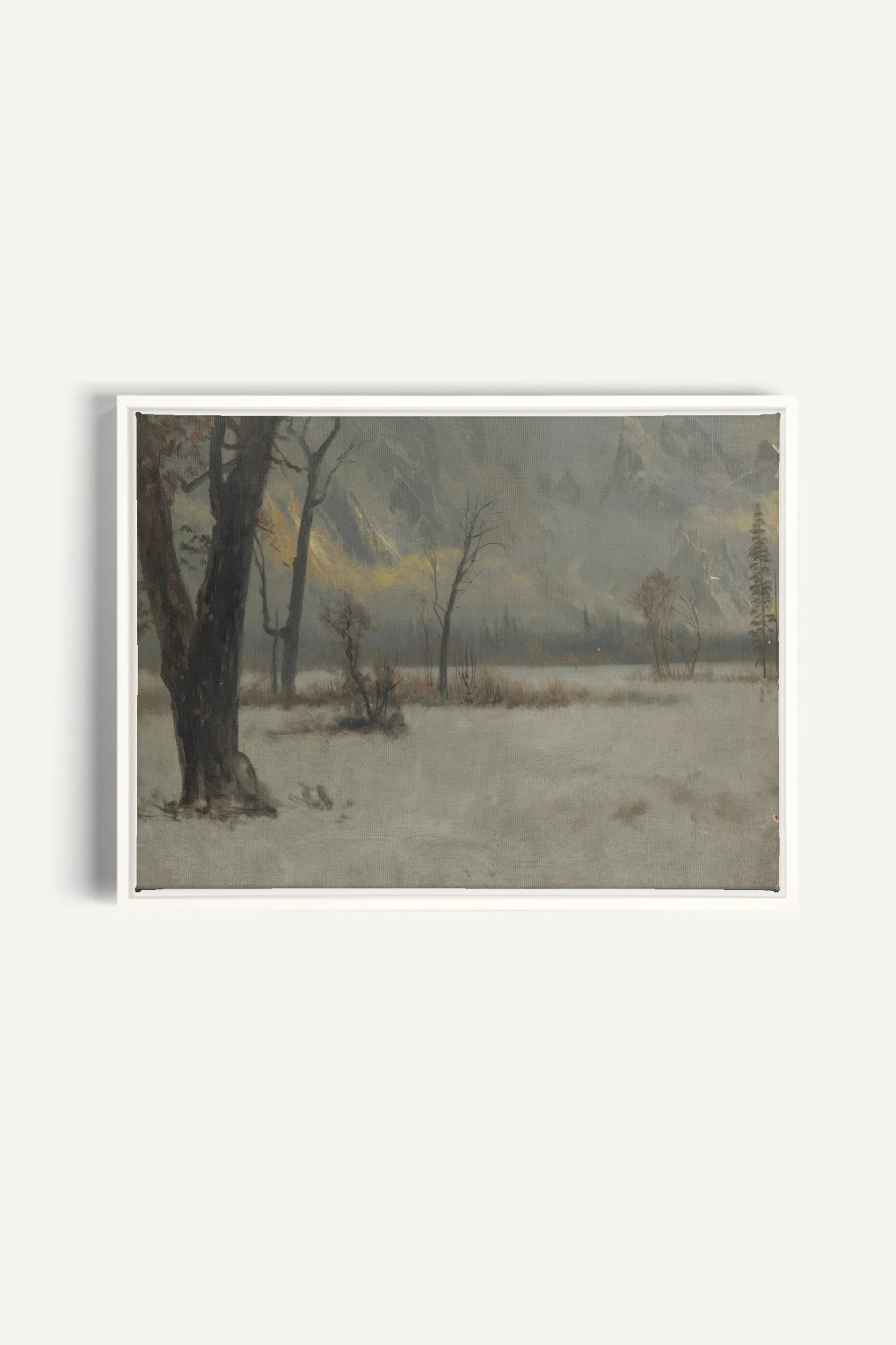 NORTHERN VEIL, Oeuvre sur toile étirée, encadré Blanc