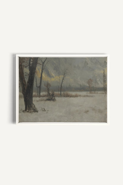 NORTHERN VEIL, Oeuvre sur toile étirée, encadré Blanc