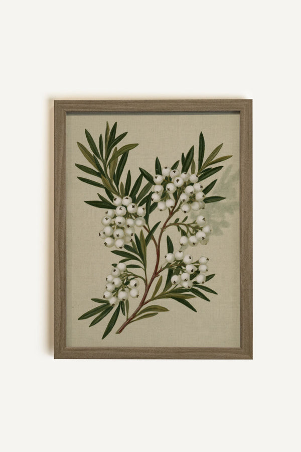 PERLES D'HIVER II, Oeuvre sur toile rigide, encadré brun chêne