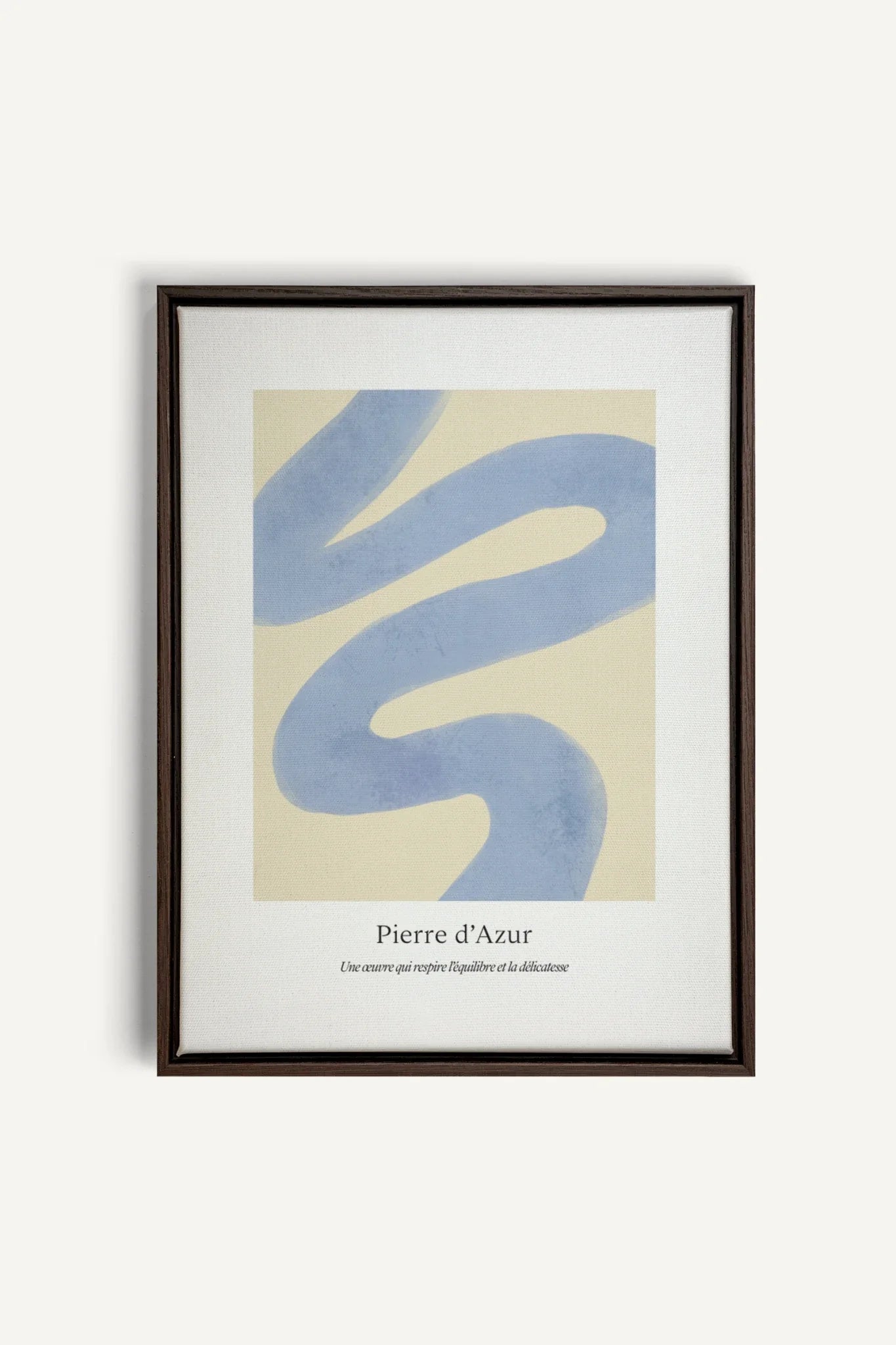 OLEKA CANVAS - PIERRE D&