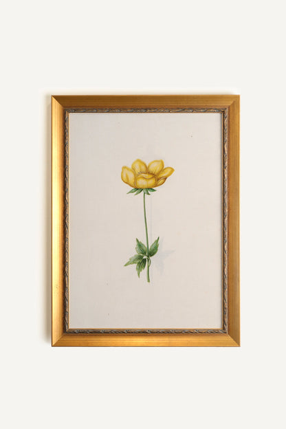POÉSIE BOTANIQUE, Artwork on rigid canvas, framed in Vintage Gold