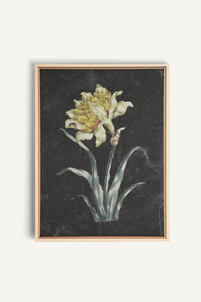 PRECIOUS FLORA, Work on stretched canvas, framed Naturel Clair