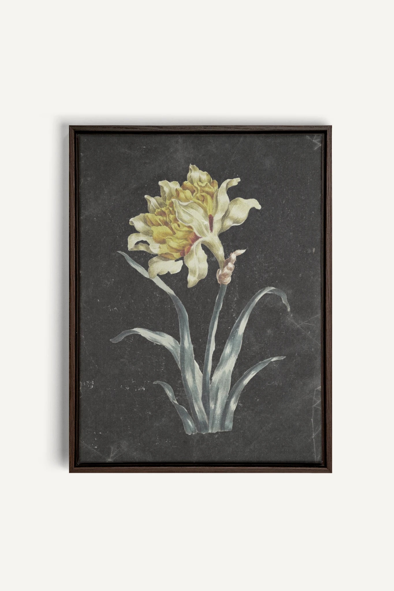 PRECIOUS FLORA, Oeuvre sur toile étirée, encadré Brun Noyer