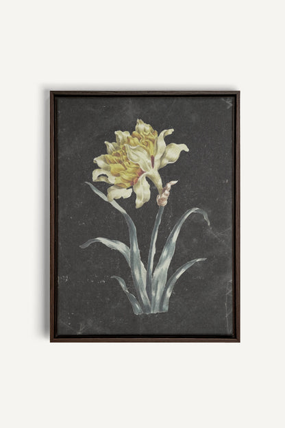 PRECIOUS FLORA, Oeuvre sur toile étirée, encadré Brun Noyer