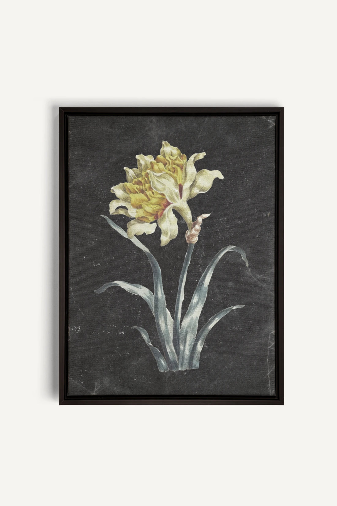 PRECIOUS FLORA, Work on stretched canvas, framed Black