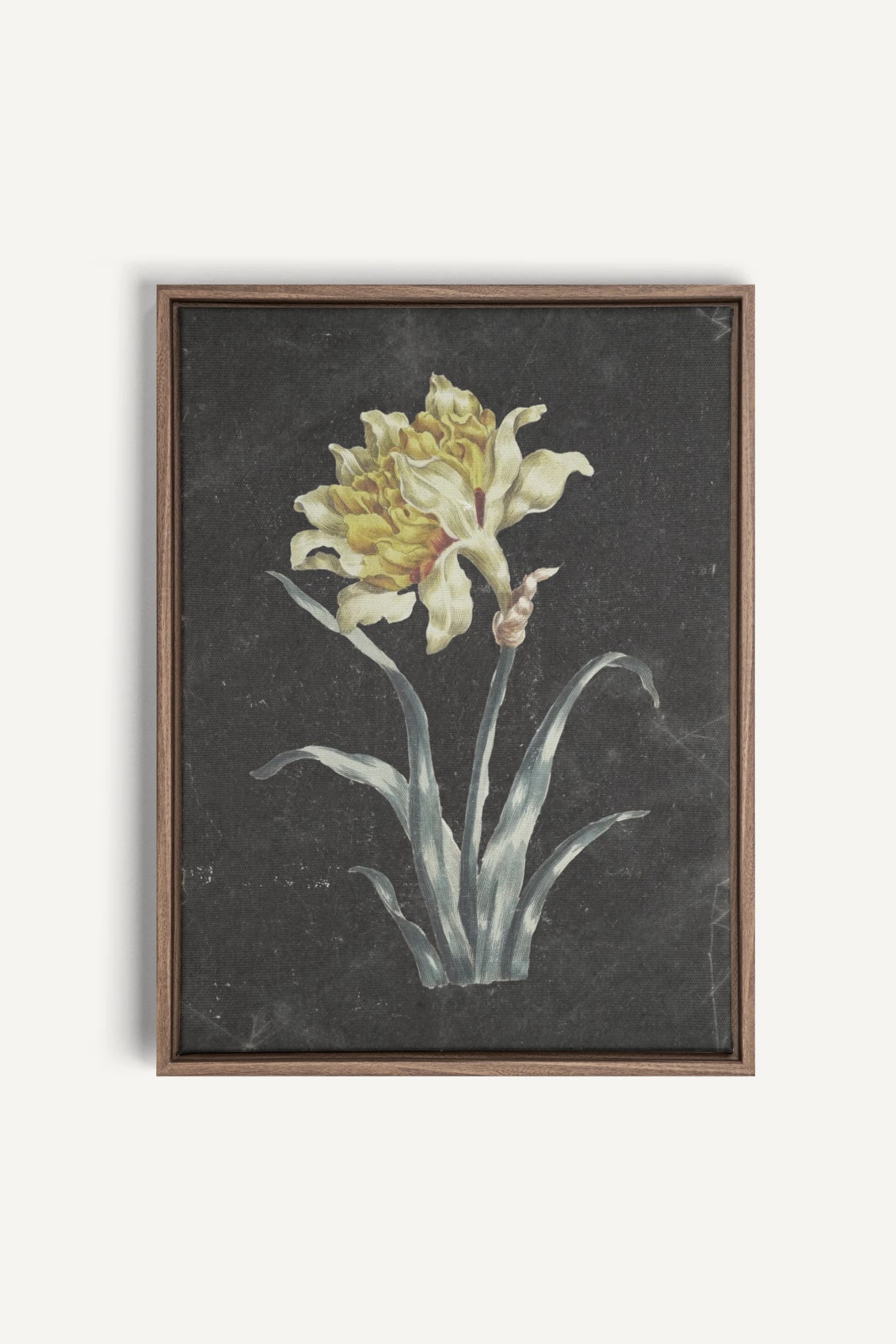 PRECIOUS FLORA, Work on stretched canvas, framed Oak Brown