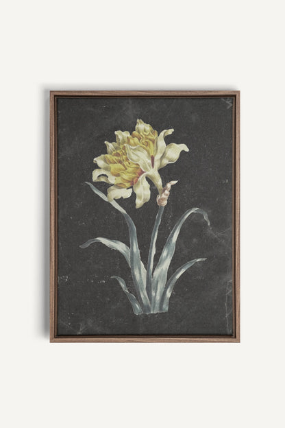 PRECIOUS FLORA, Work on stretched canvas, framed Oak Brown