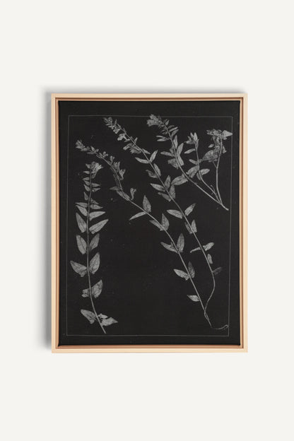 PRESSED MEMORIES, Work on stretched canvas, framed Naturel Clair