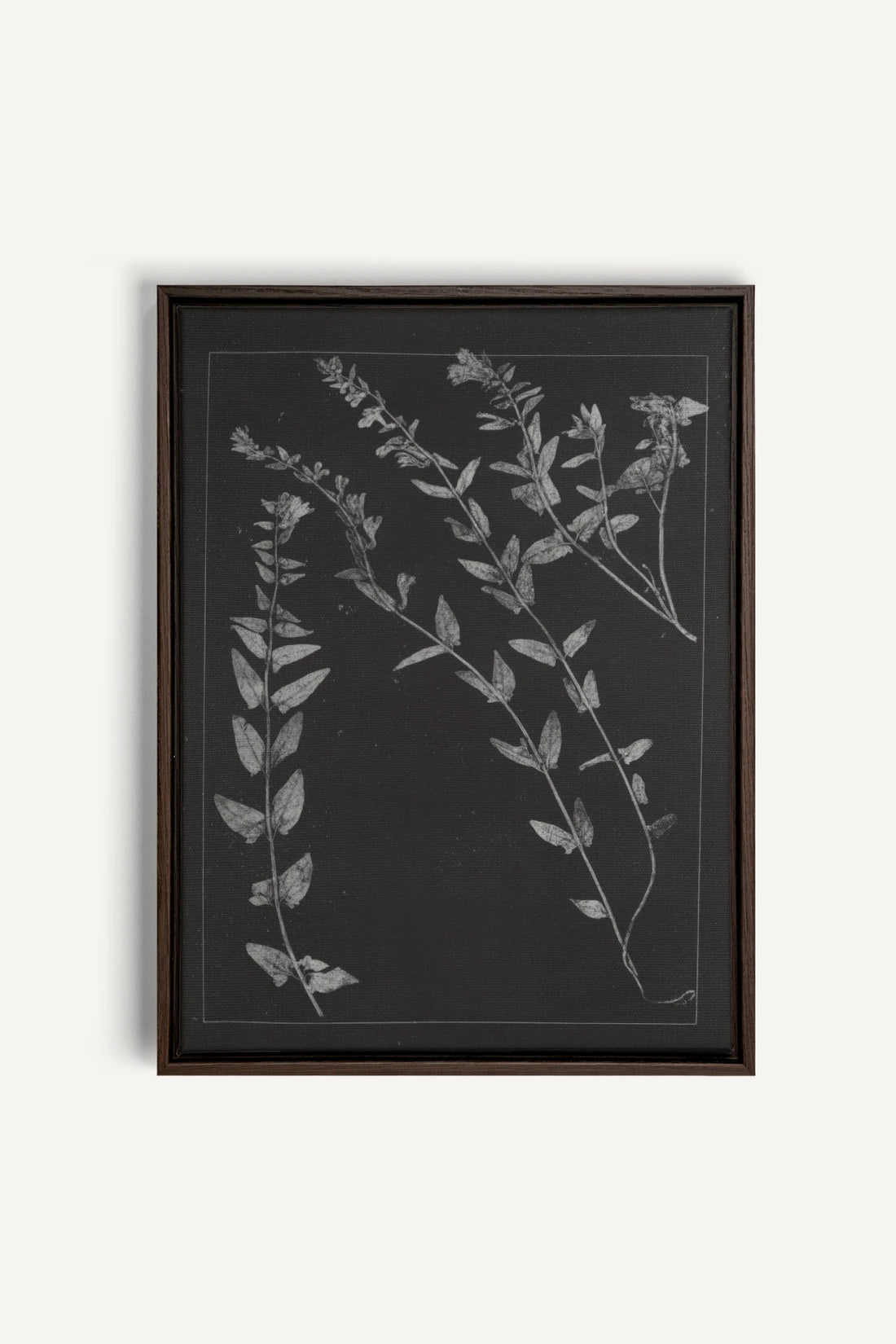 PRESSED MEMORIES, Oeuvre sur toile étirée, encadré Brun Noyer