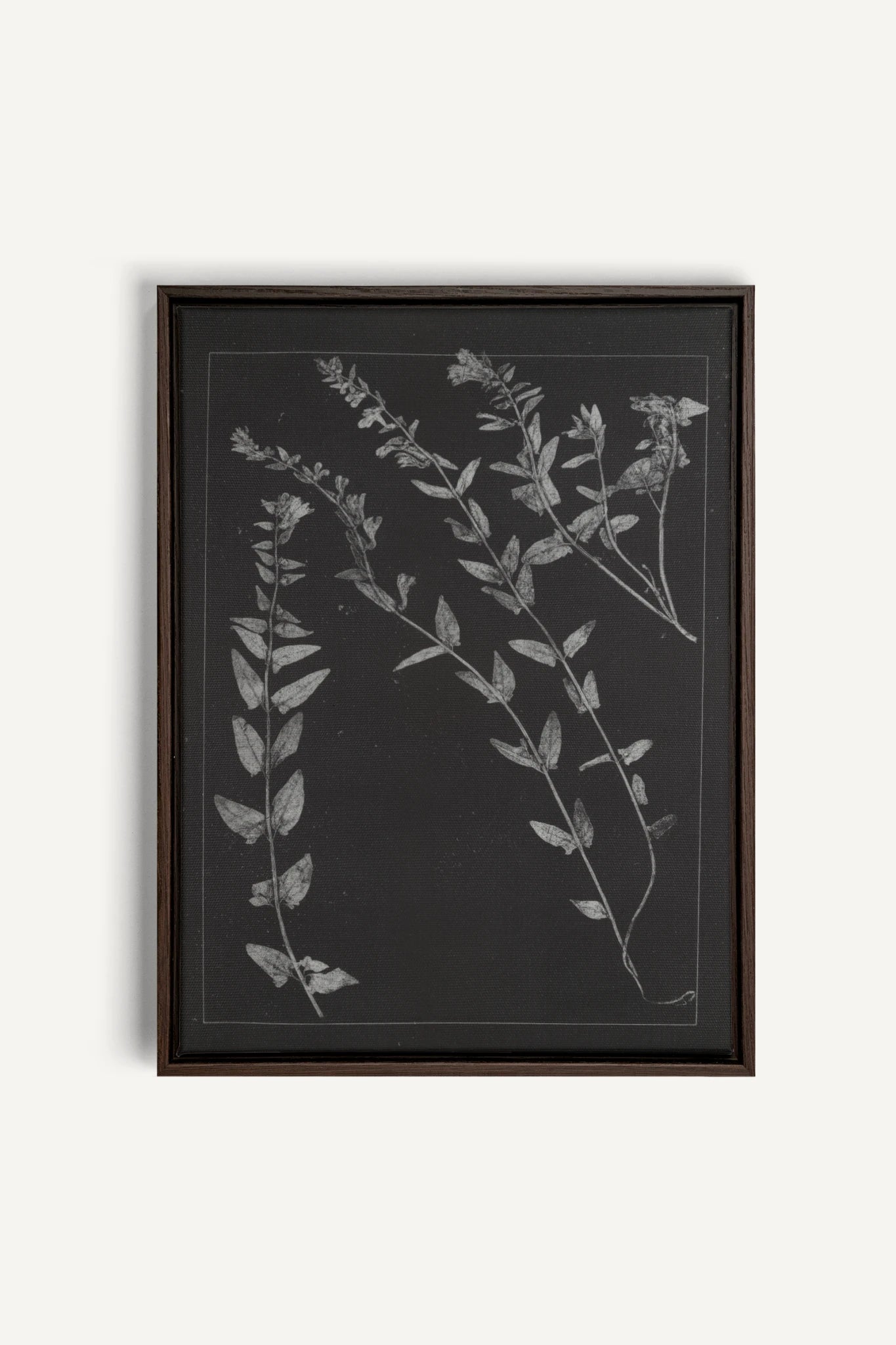 PRESSED MEMORIES, Oeuvre sur toile étirée, encadré Brun Noyer