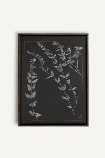 PRESSED MEMORIES, Oeuvre sur toile étirée, encadré Brun Noyer