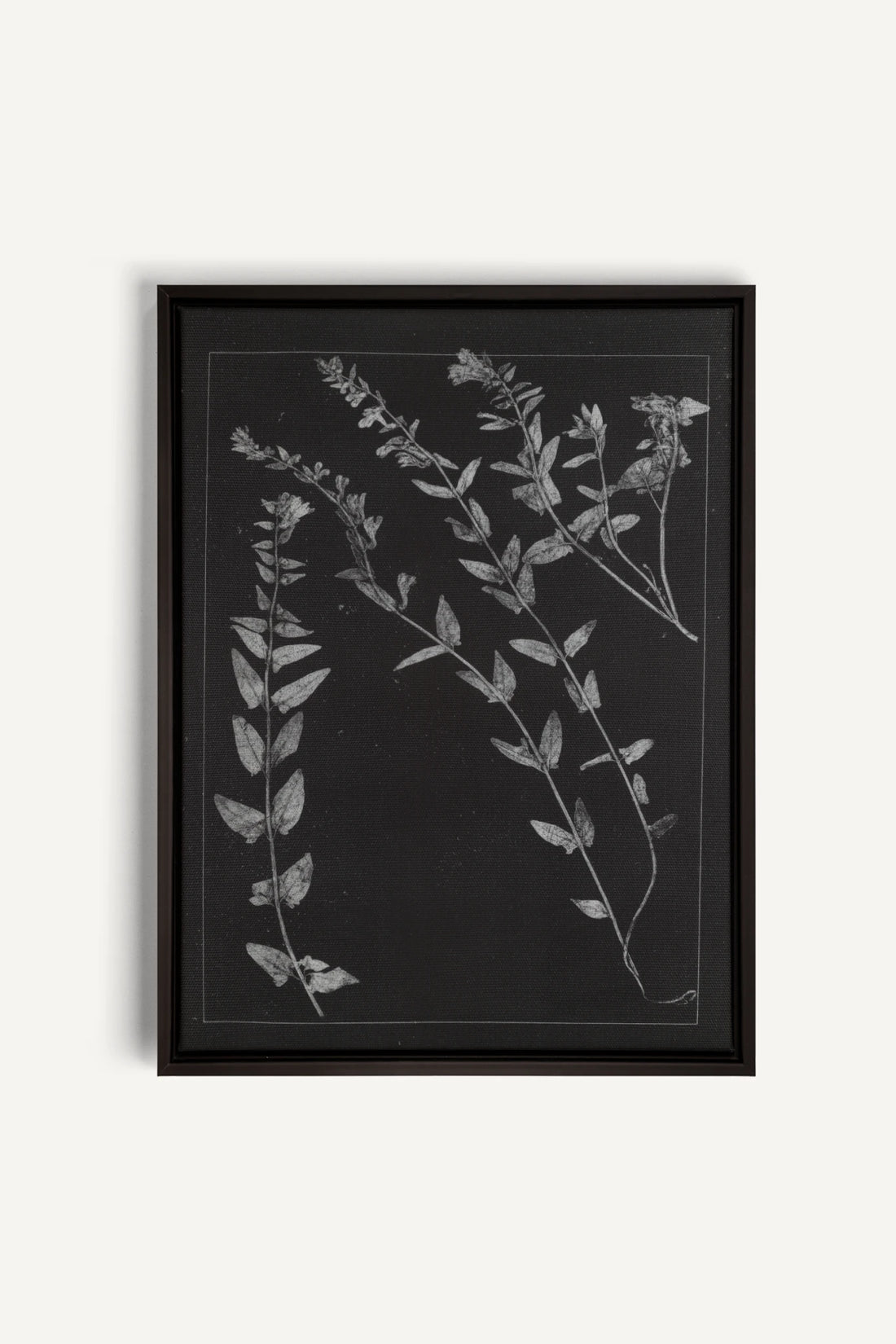 PRESSED MEMORIES, Work on stretched canvas, framed Black