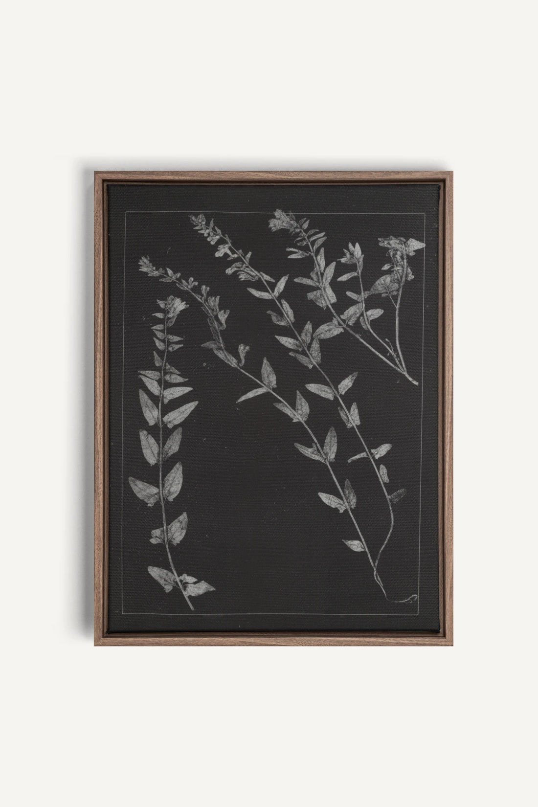 PRESSED MEMORIES, Work on stretched canvas, framed Oak Brown