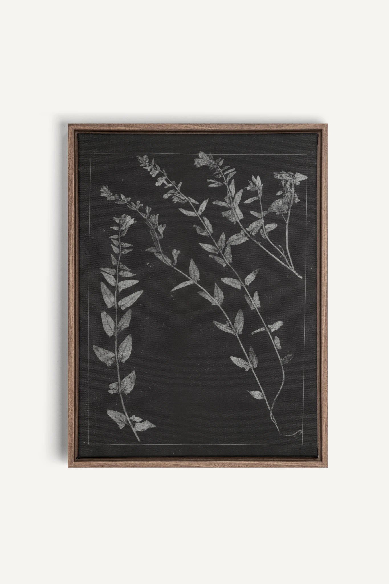 PRESSED MEMORIES, Work on stretched canvas, framed Oak Brown