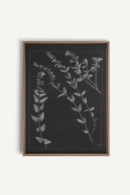 PRESSED MEMORIES, Work on stretched canvas, framed Oak Brown