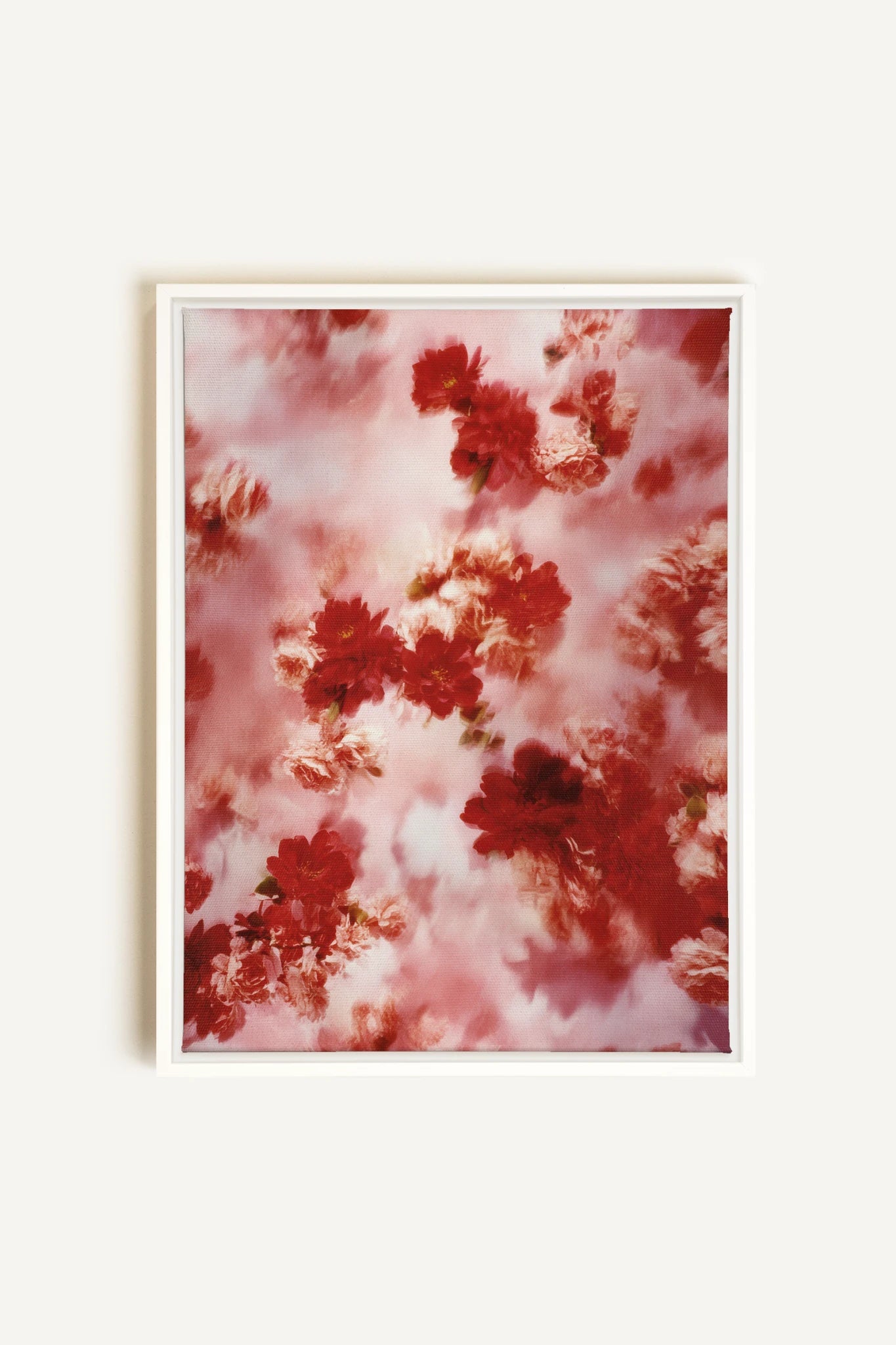 RÊVE ÉCARLATE, Artwork on stretched canvas, framed in white