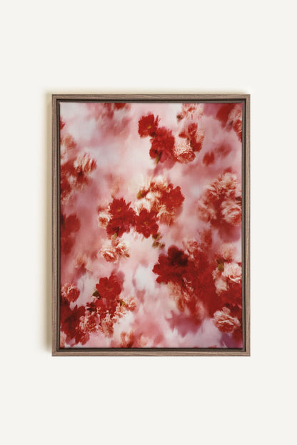 RÊVE ÉCARLATE, Artwork on stretched canvas, framed in Brown Oak