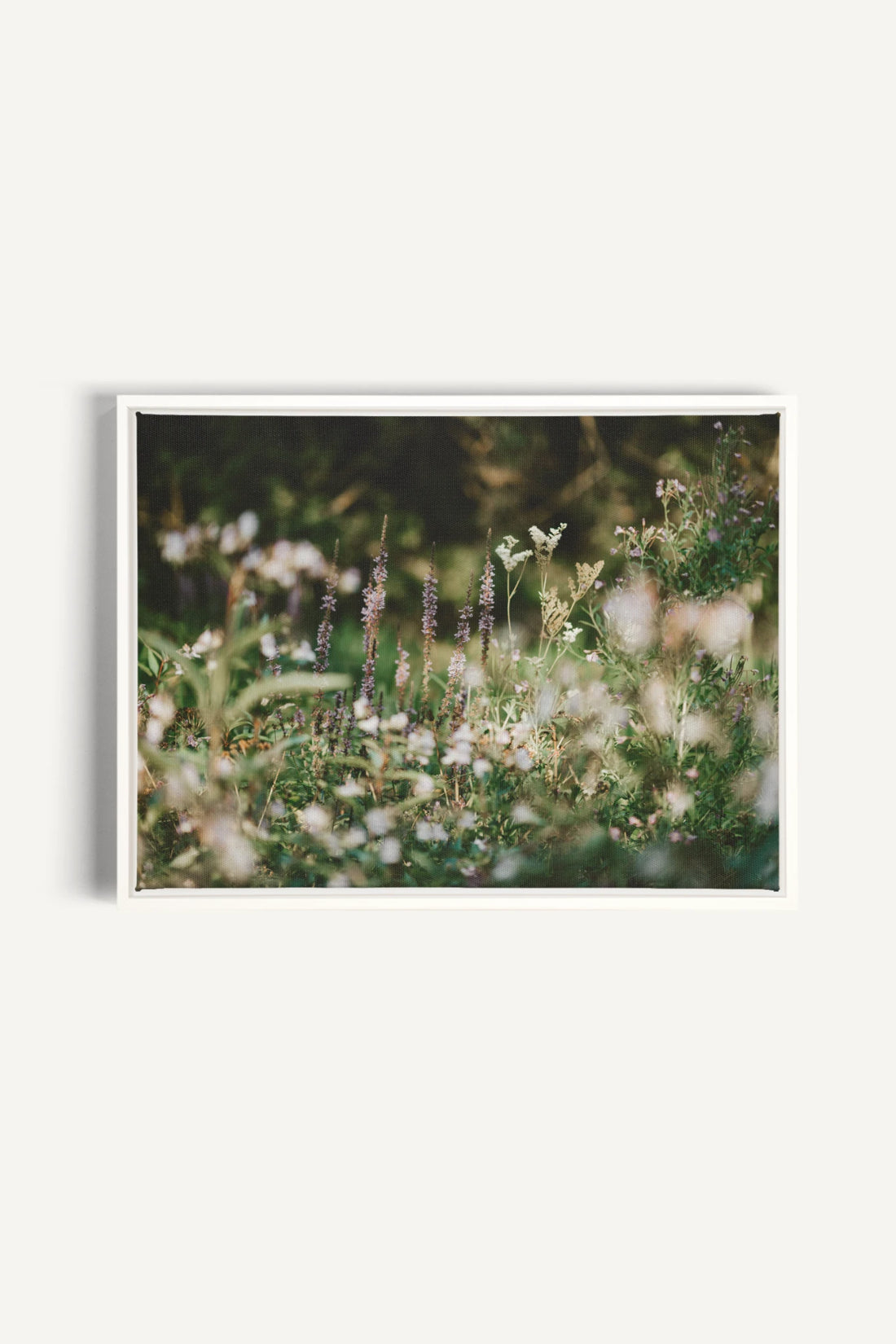 SAUGE &amp; LAVANDE, Oeuvre sur toile étirée, encadré Blanc