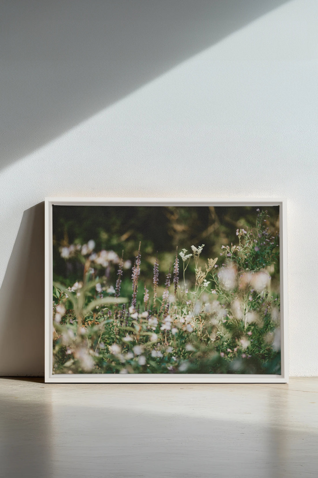 SAUGE &amp; LAVANDE, Oeuvre sur toile étirée, encadré Blanc