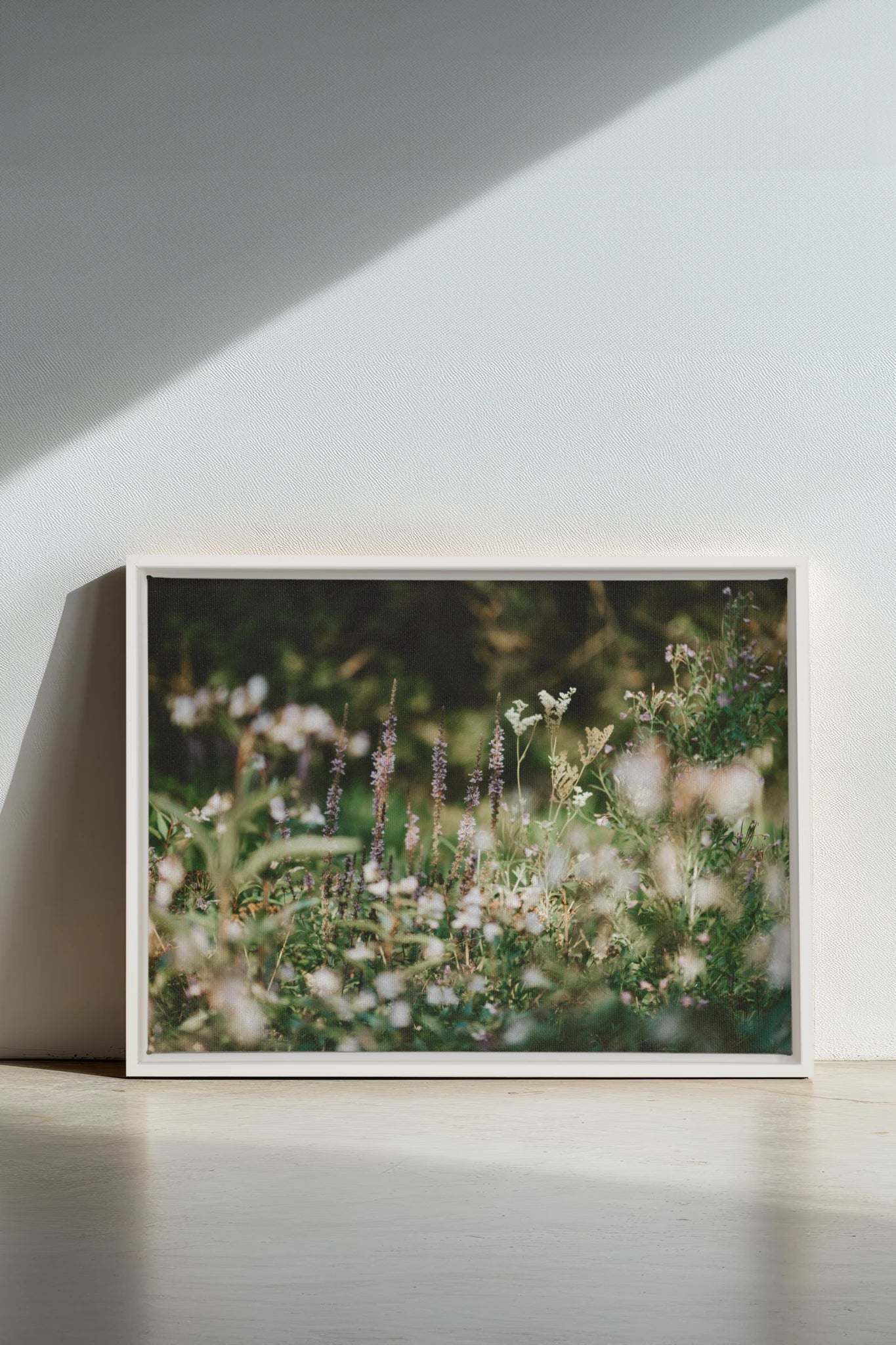 SAUGE &amp; LAVANDE, Oeuvre sur toile étirée, encadré Blanc