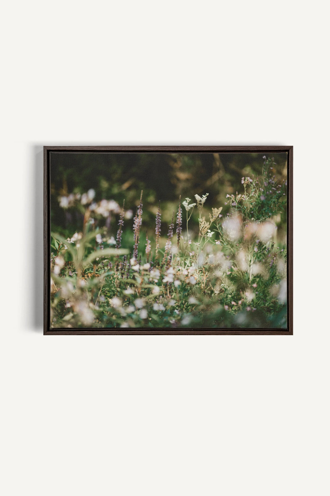 SAUGE &amp; LAVANDE, Oeuvre sur toile étirée, encadré Brun Noyer