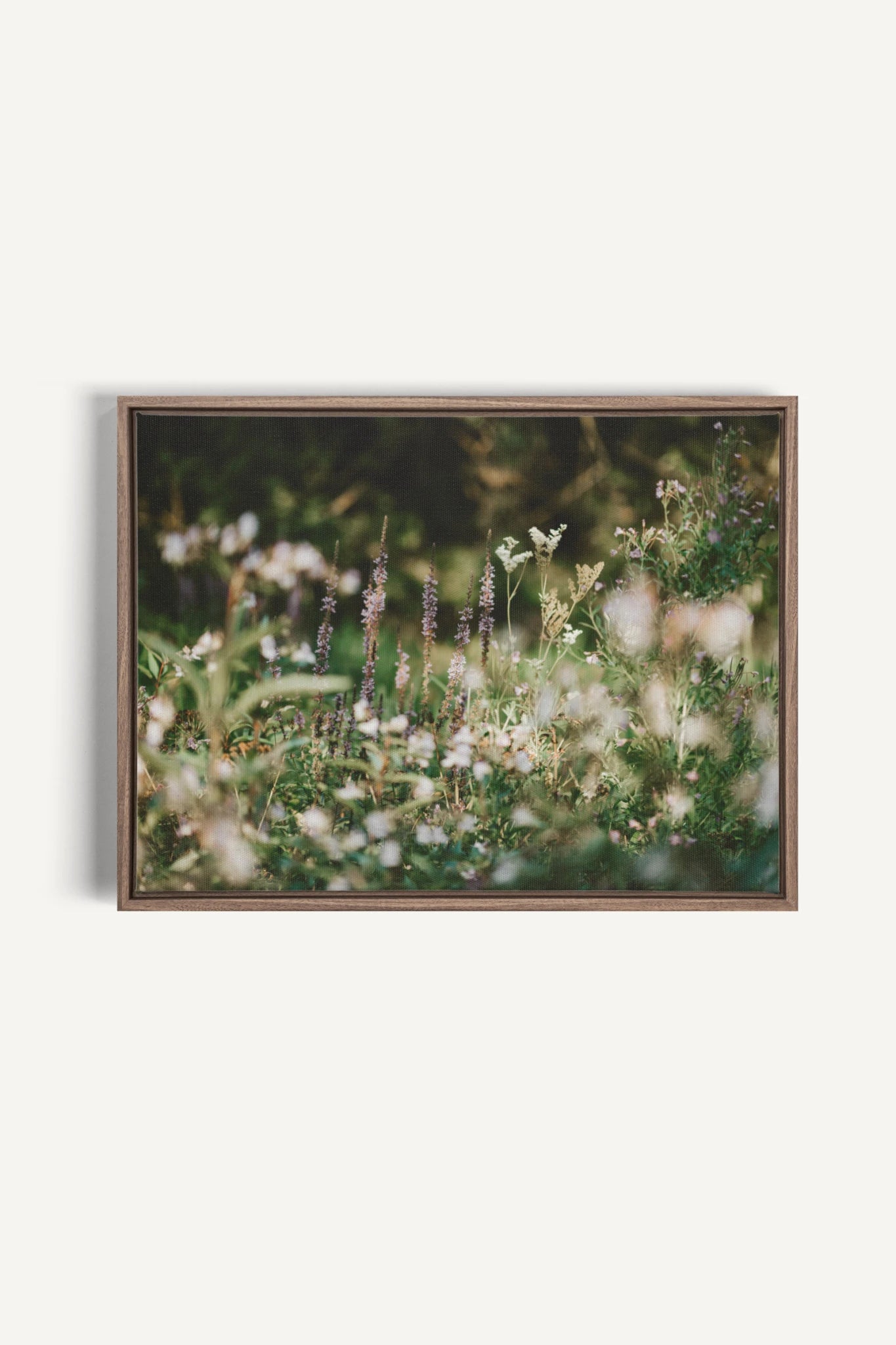 SAUGE &amp; LAVANDE, Oeuvre sur toile étirée, encadré Brun Chêne