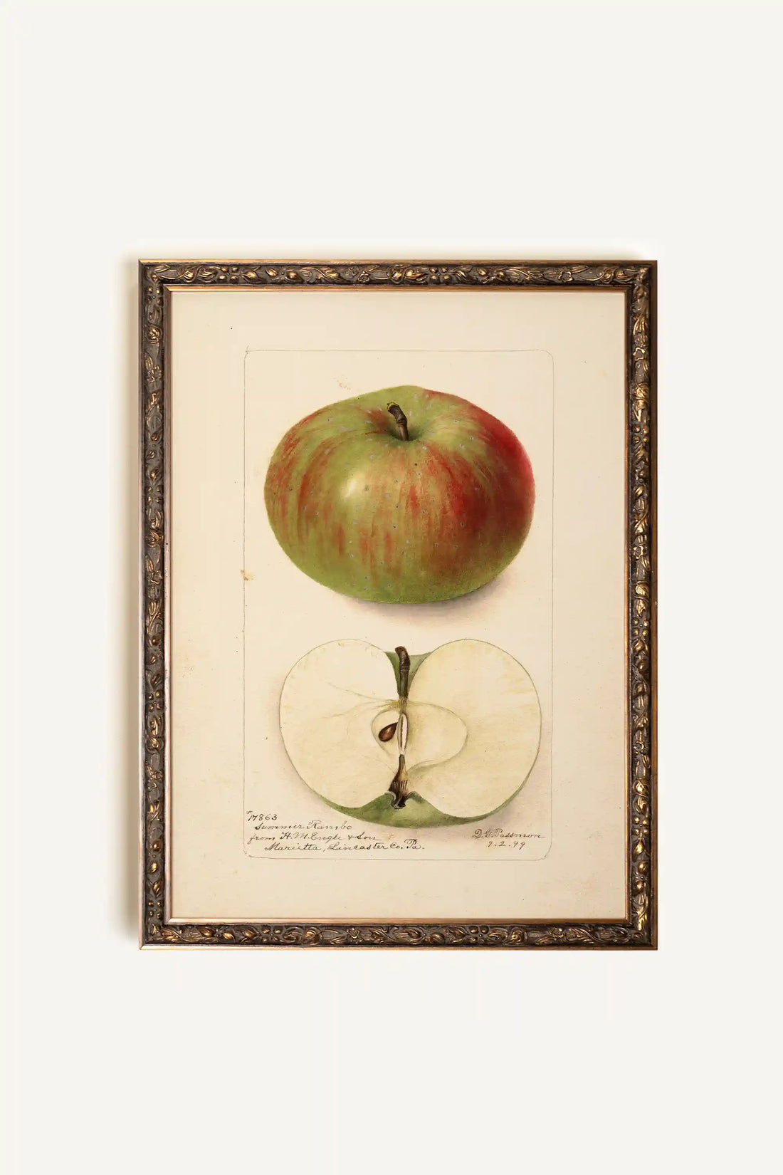 SAVEUR DU PASSÉ, Oeuvre sur toile rigide, encadré Vintage Bronze