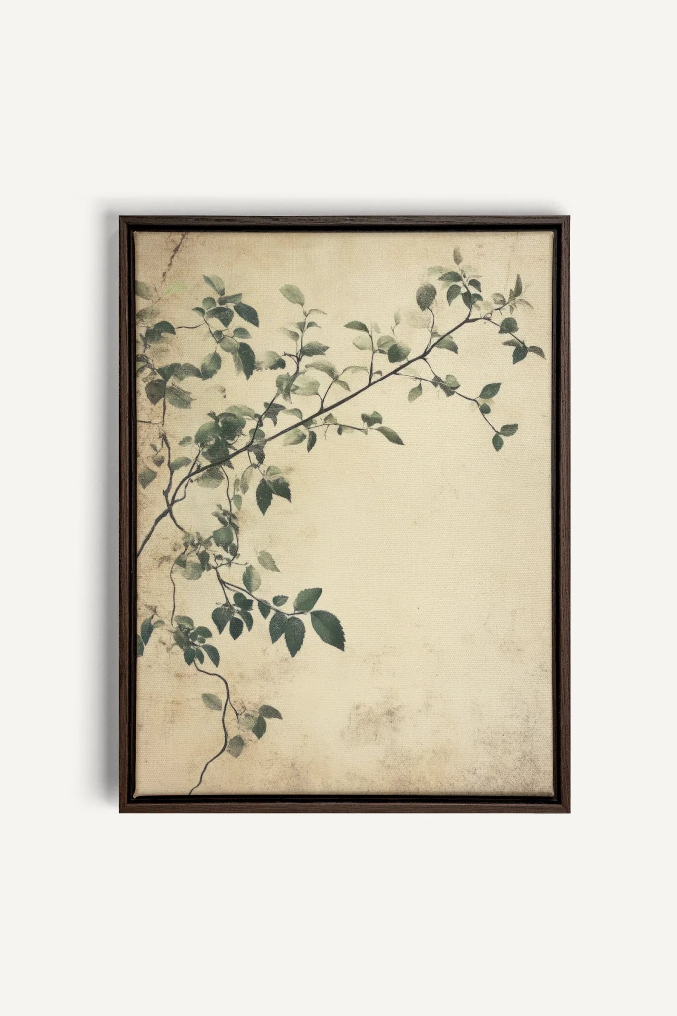 OLEKA CANVAS - SILENT VINES, Oeuvre sur toile étirée, encadré Brun Noyer