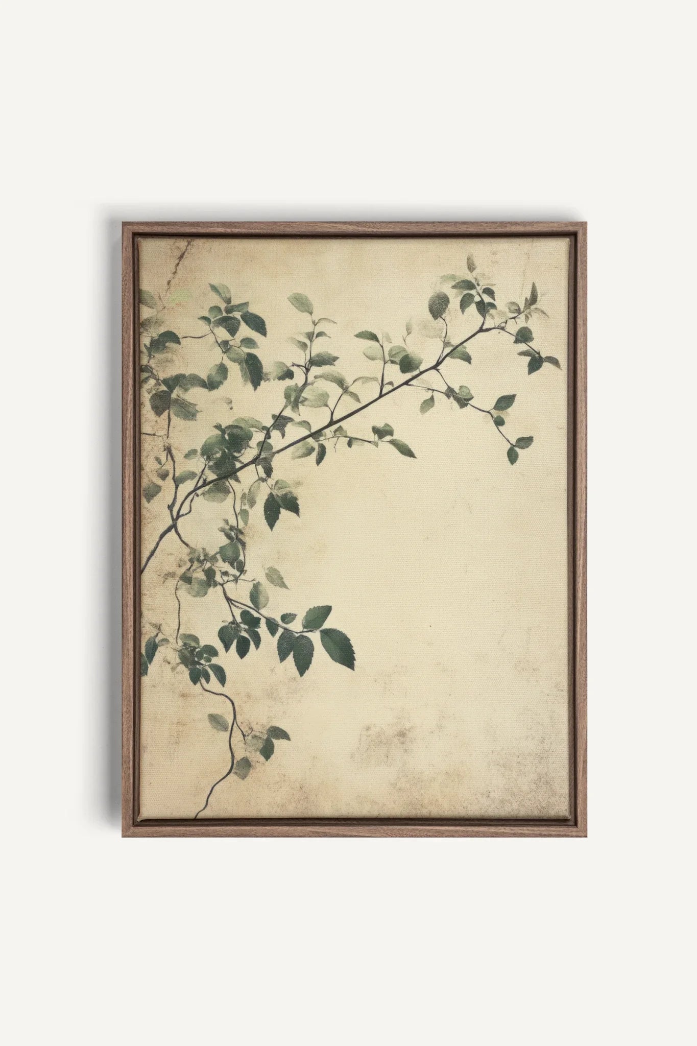 OLEKA CANVAS - SILENT VINES, Oeuvre sur toile étirée, encadré Brun Chêne