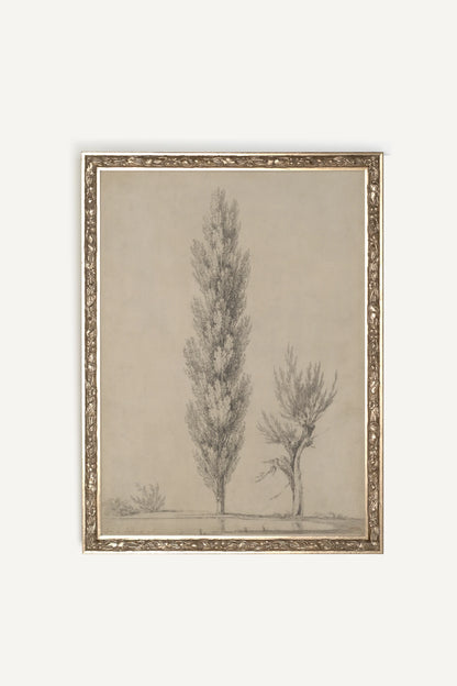 SOUFFLE DU PEUPLIER, Artwork on rigid canvas, framed Vintage Silver