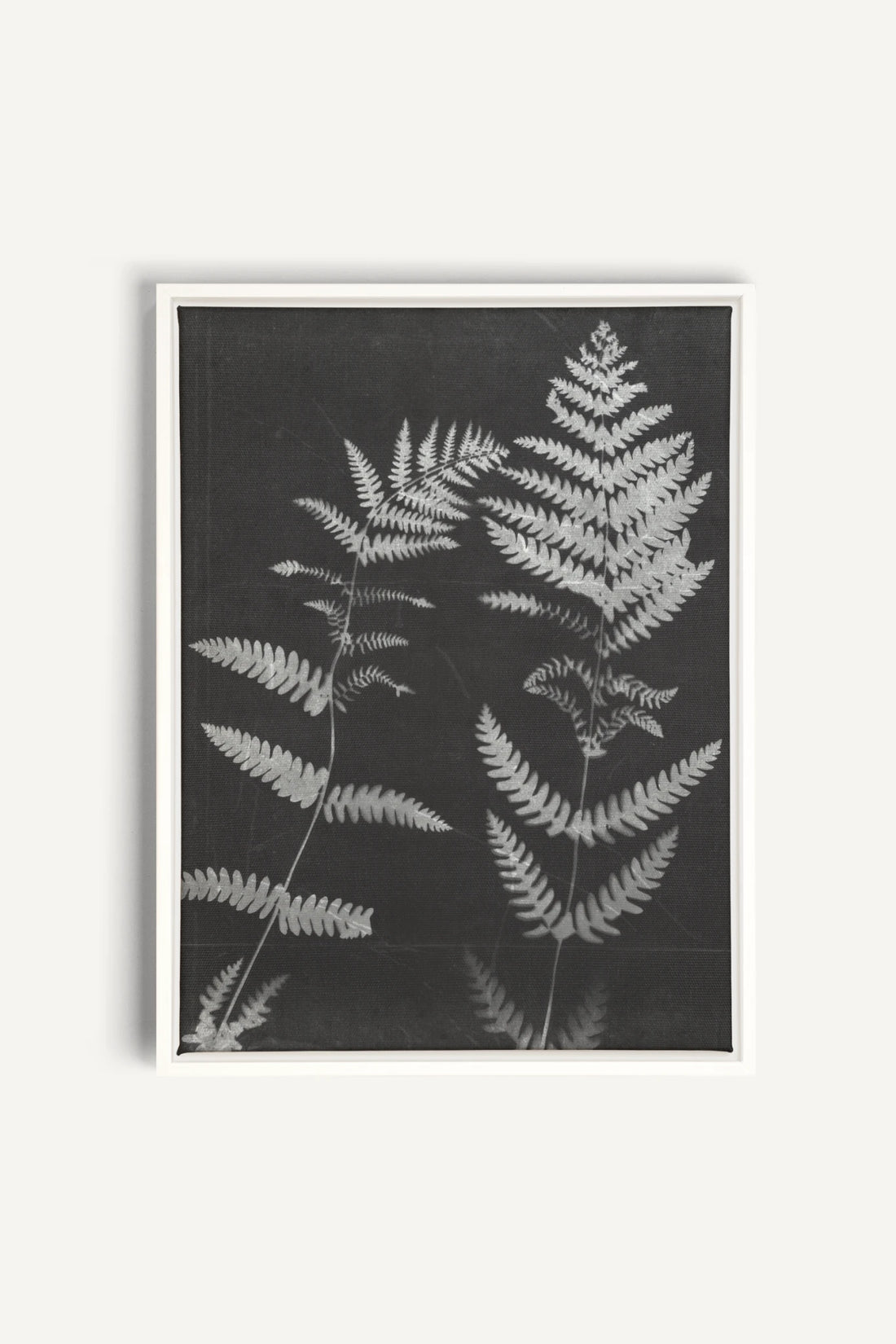 SOUFFLE FORESTIER, Work on stretched canvas, framed White