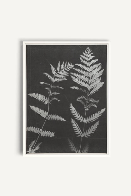 SOUFFLE FORESTIER, Work on stretched canvas, framed White