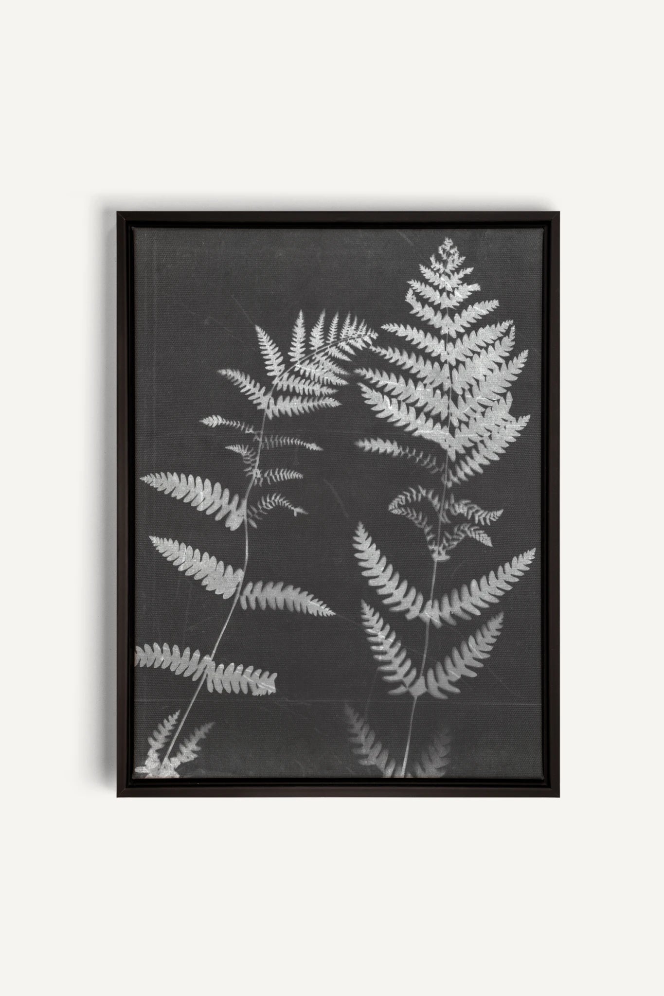 SOUFFLE FORESTIER, Work on stretched canvas, framed Black