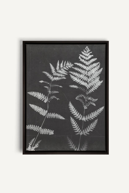 SOUFFLE FORESTIER, Work on stretched canvas, framed Black