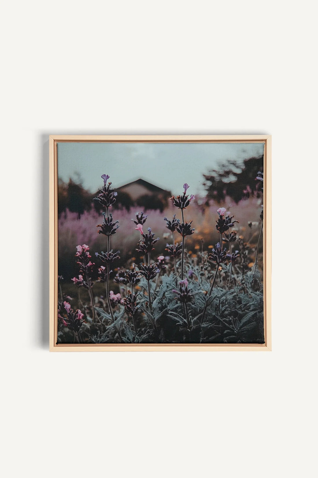 OLEKA CANVAS - SOUFFLE LAVANDE, Oeuvre sur toile étirée, encadré Naturel Clair